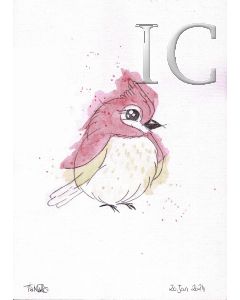 Birb